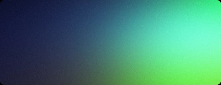 서비스섹션 플레이스 배경